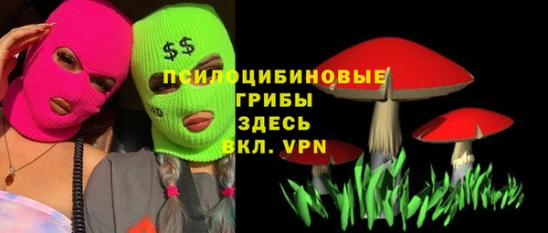 соль ск Алексин