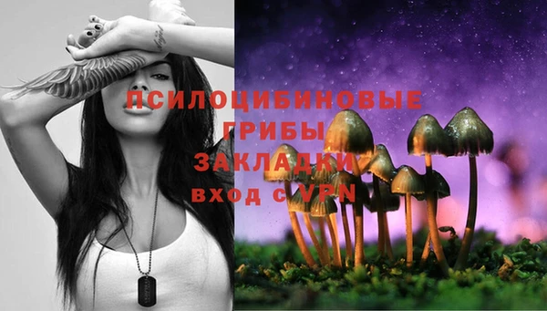 мет Арсеньев