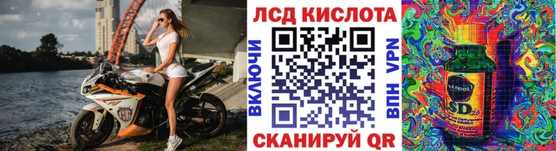 дарк нет какой сайт Петухово Марки N-bome 1,5мг